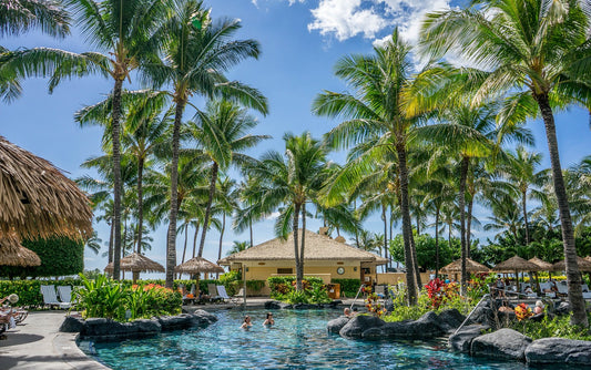 Resort pool with palm trees. Image by Michelle Raponi from Pixabay