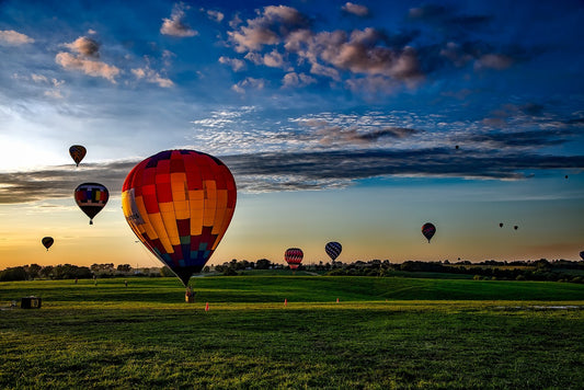 Hot air balloons in field with blue sky sunrise