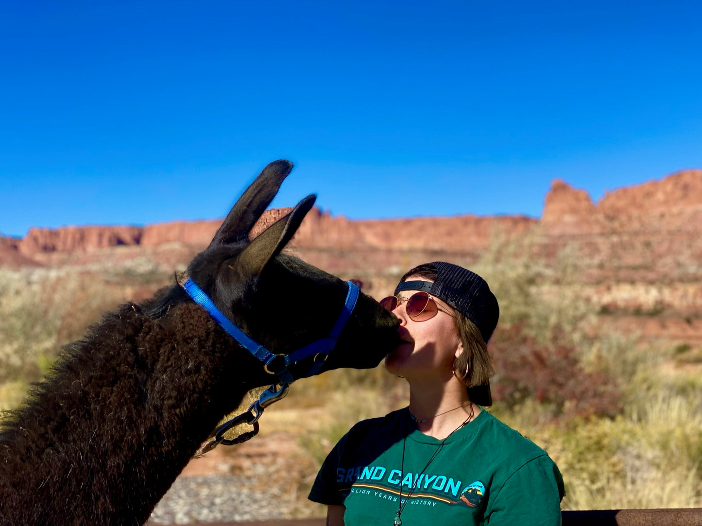 4 Day RV Tour: Capitol Reef and Goblin Valley.