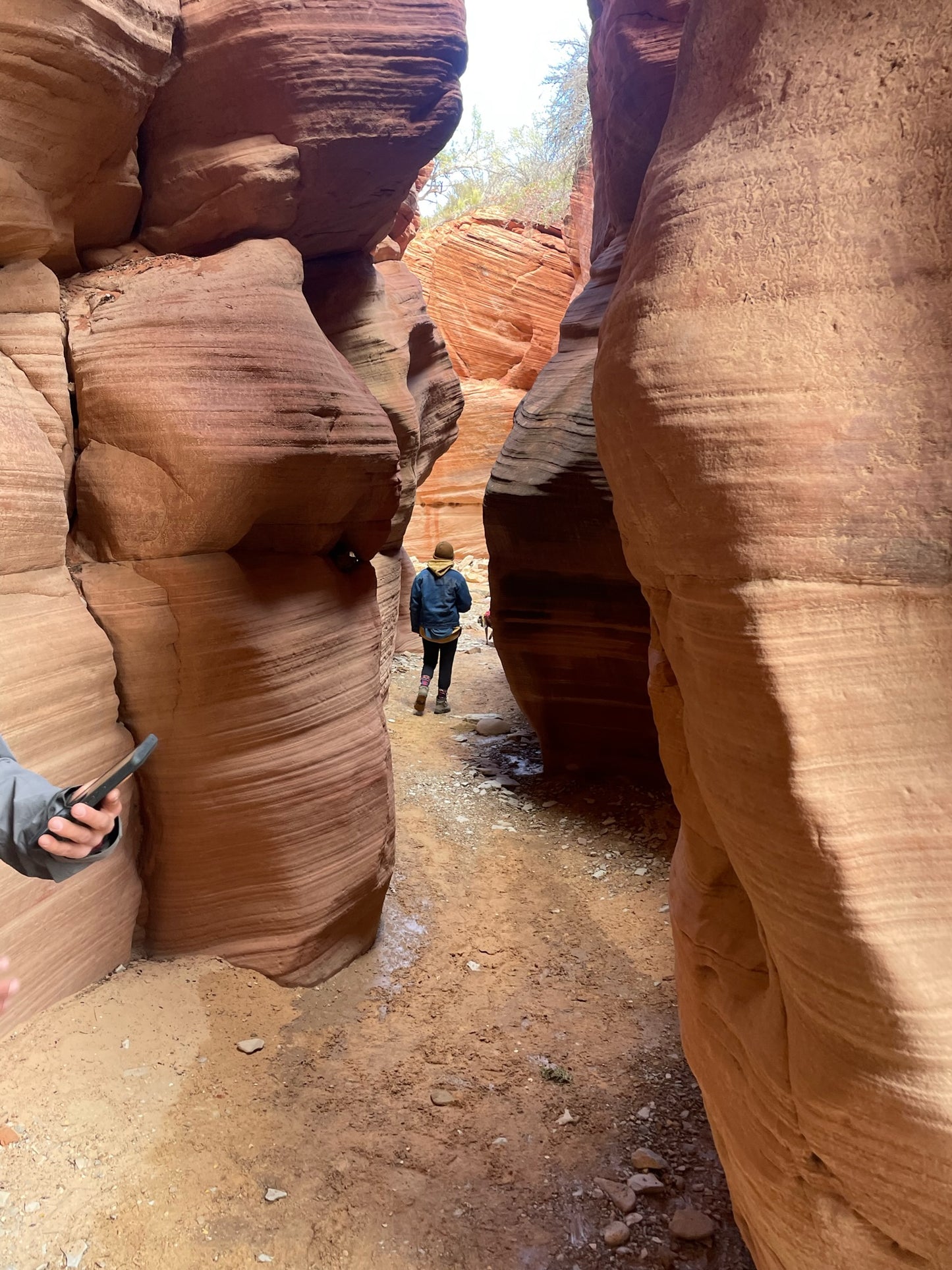 4 Day RV Tour: Capitol Reef and Goblin Valley.